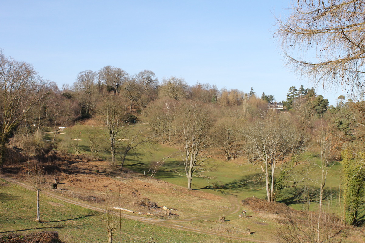 looking north over New Road toward the Terrace